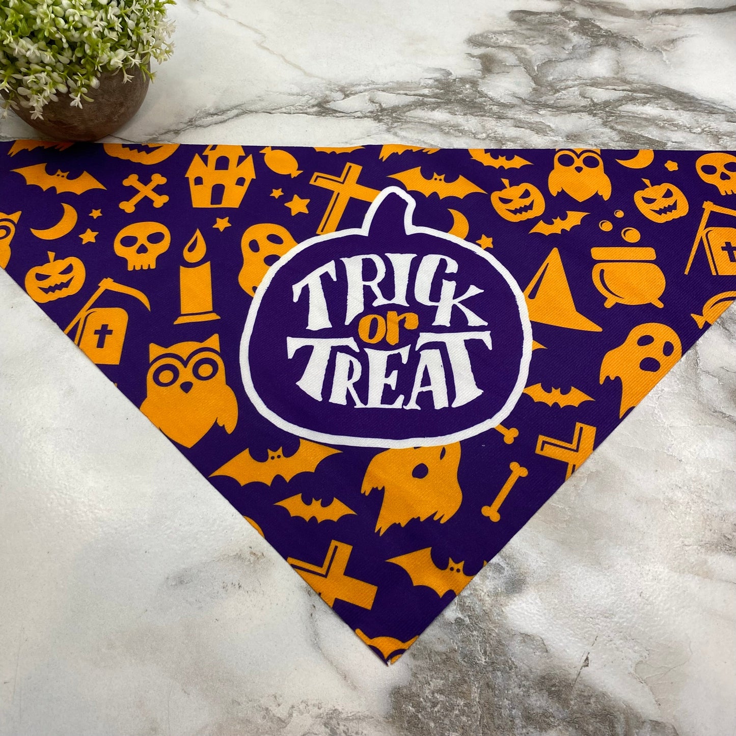Dog Bandana - Halloween - Trick or Treat Purple Orange MNC