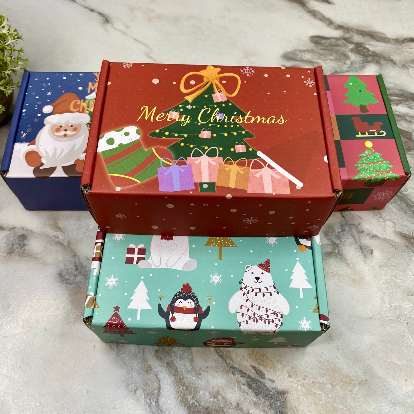 Christmas Gift Box with Crinkle Paper - Small MNC