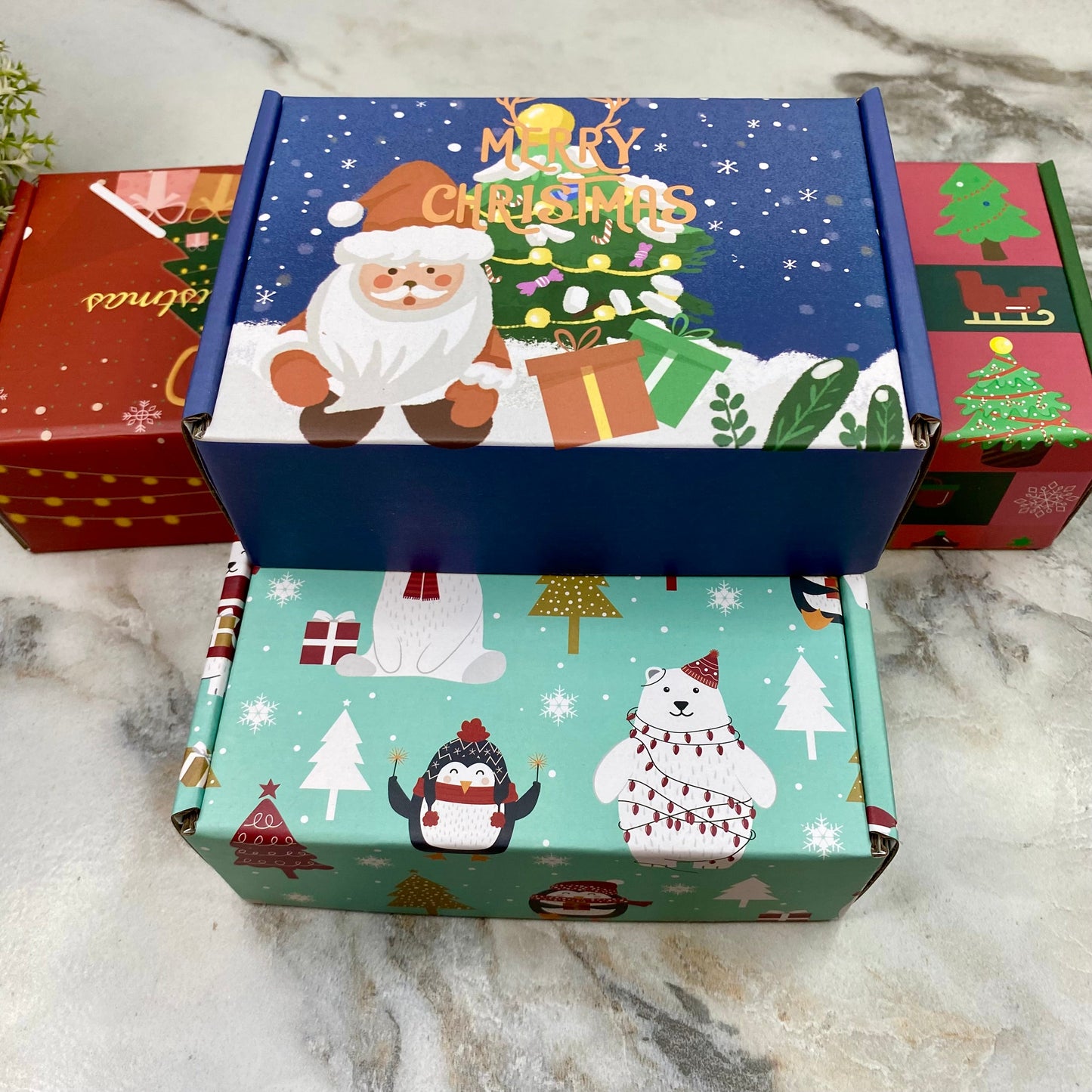 Christmas Gift Box with Crinkle Paper - Small MNC