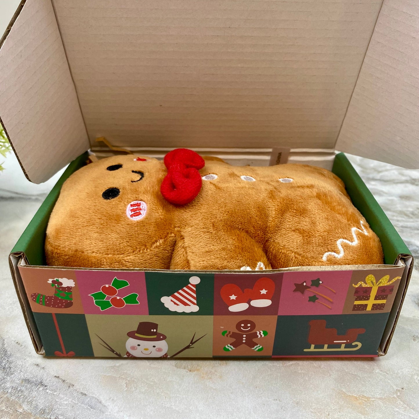 Christmas Gift Box with Crinkle Paper - Small MNC