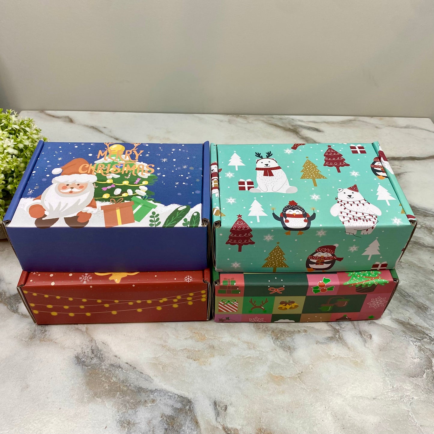 Christmas Gift Box with Crinkle Paper - Small MNC