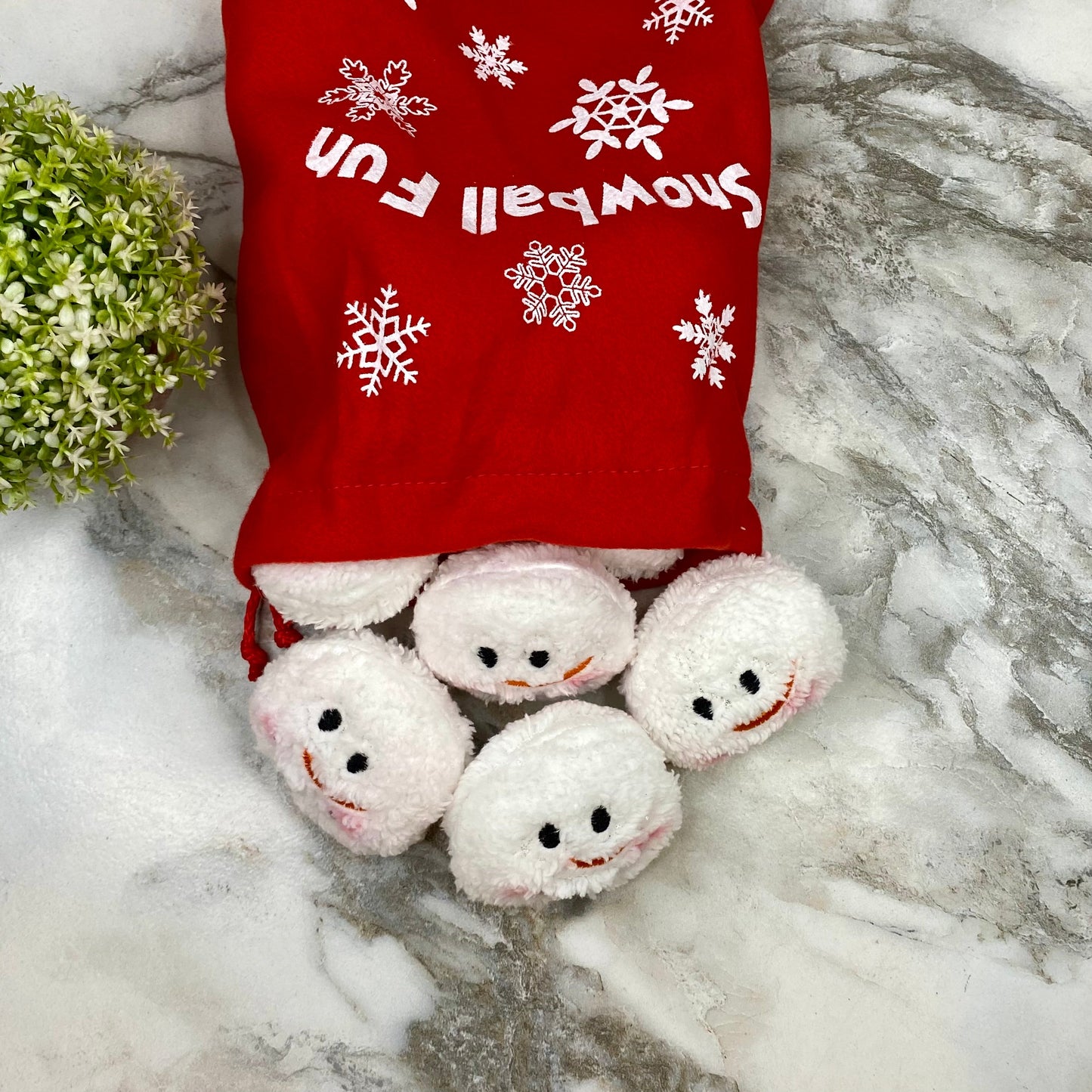 Snowball Fun MNC