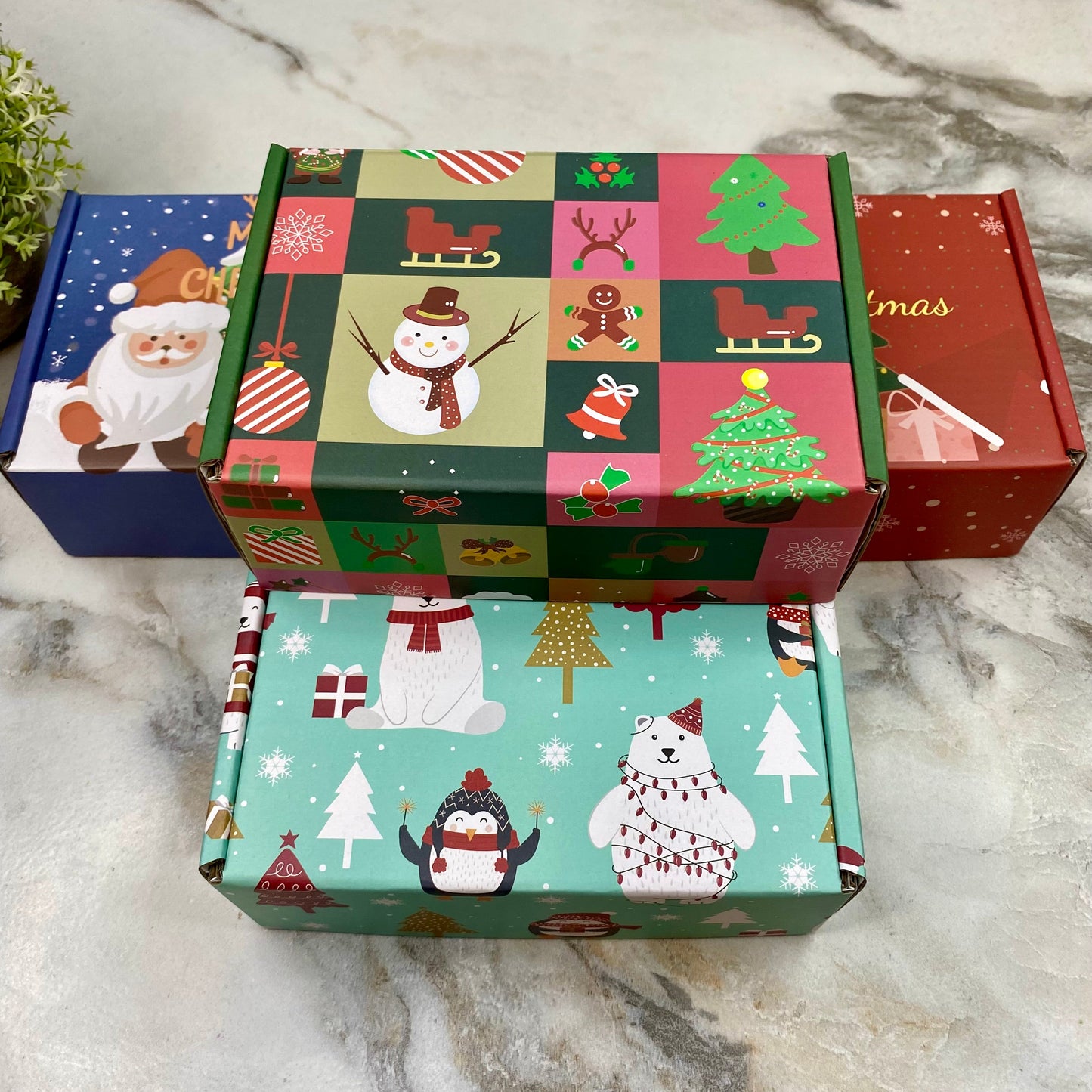 Christmas Gift Box with Crinkle Paper - Small MNC