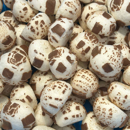 Chocolate Vanilla Chews