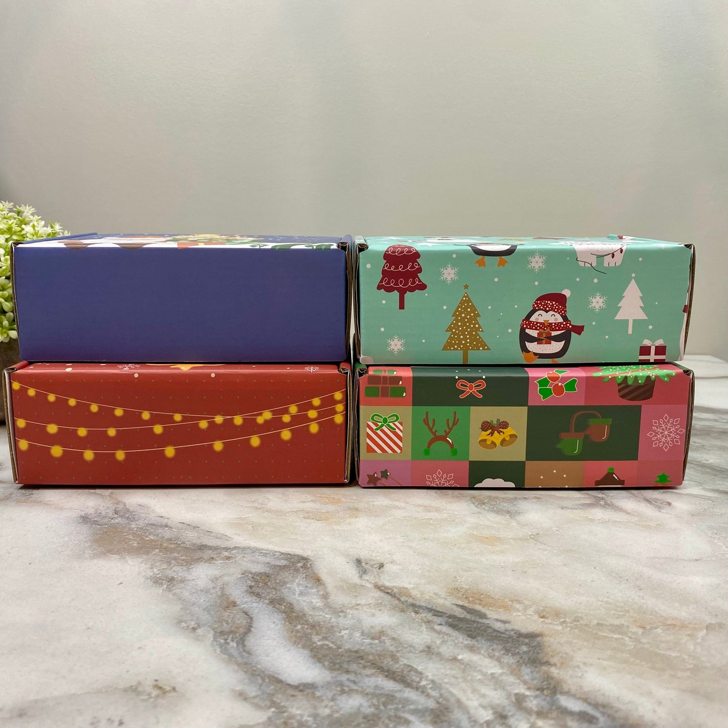 Christmas Gift Box with Crinkle Paper - Small MNC