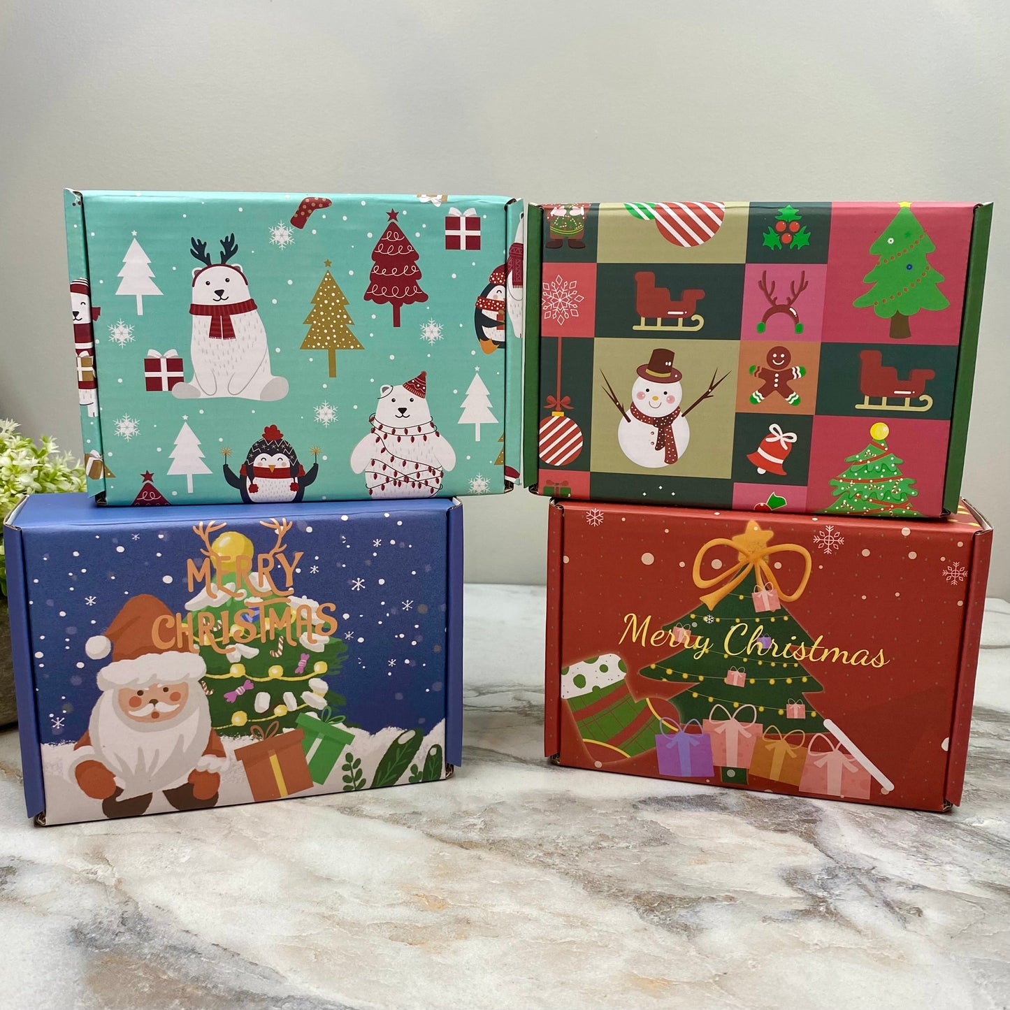 Christmas Gift Box with Crinkle Paper - Small MNC