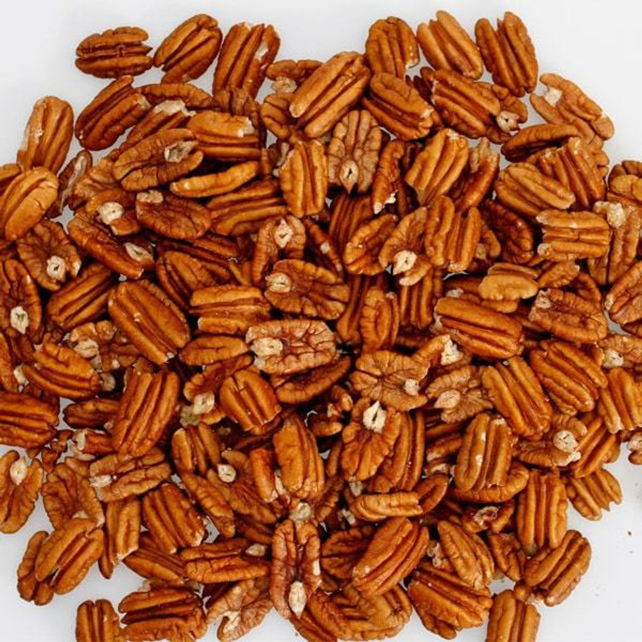 Jr Mammoth Pecans