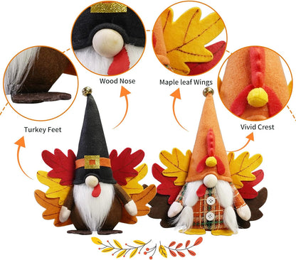 Turkey Fall Gnome MN