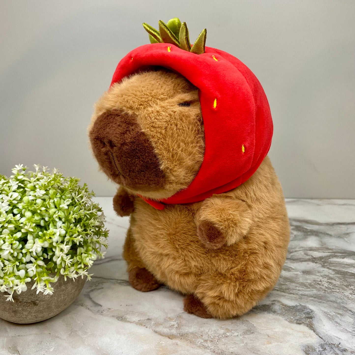 Plush Capybara Strawberry