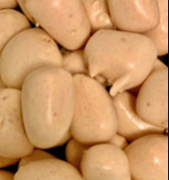 Bites of Honey Freeze Dried