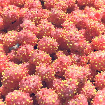 Cherry Lemonade Blitz Gummy Clusters