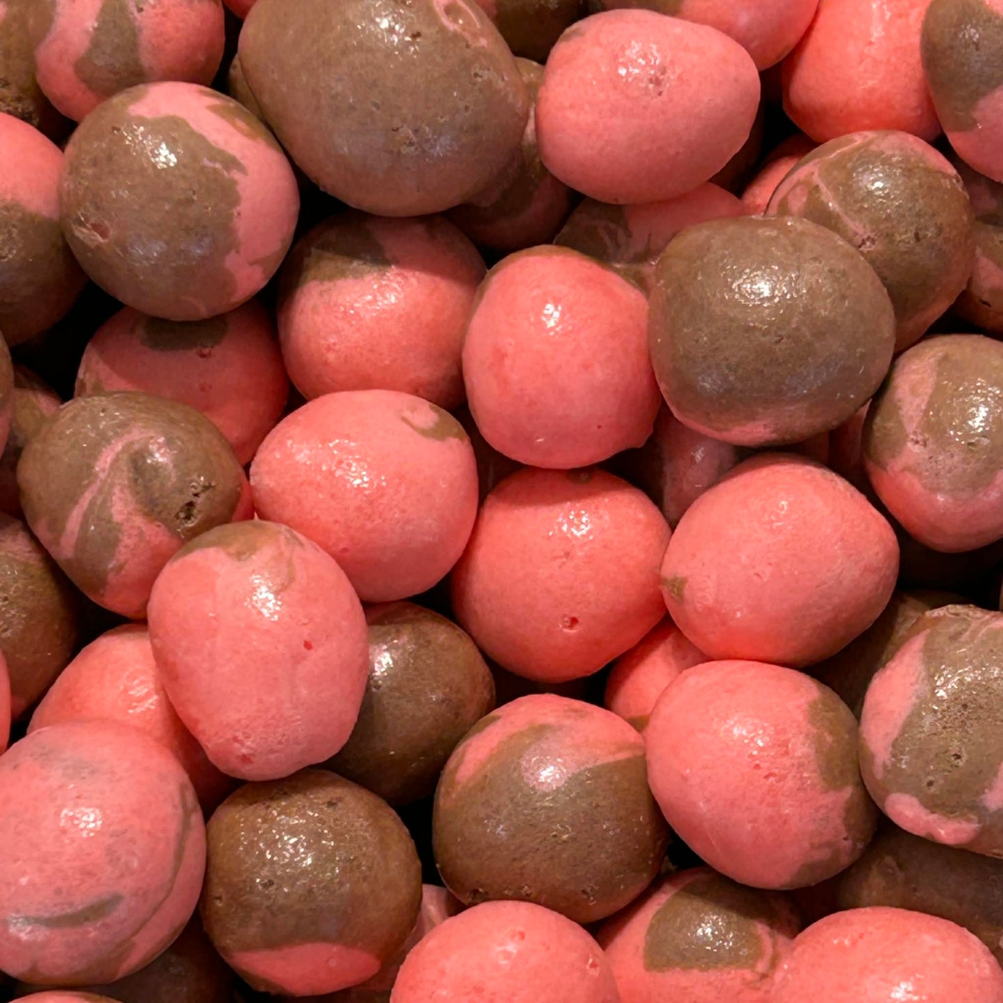 Chocolate Hazelnut Raspberry Cream Cheese Fusion