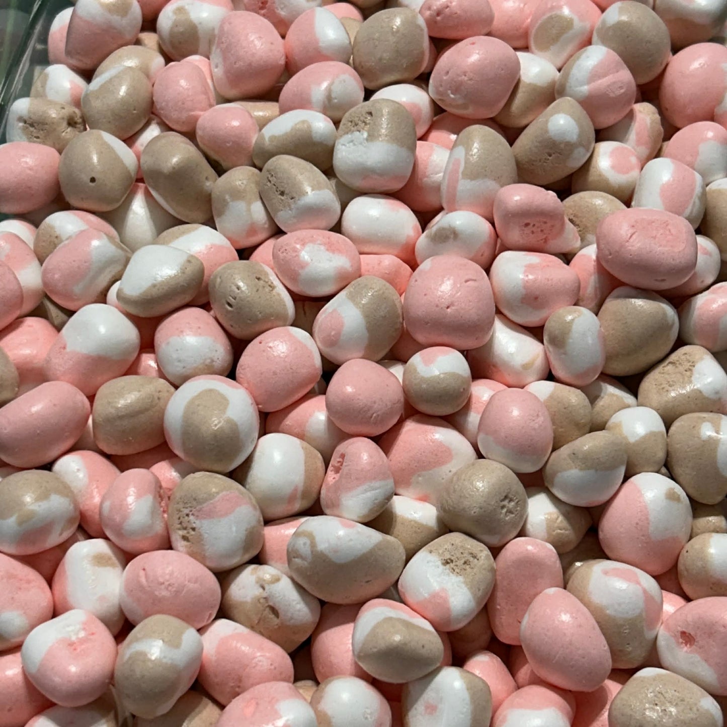Neapolitan
