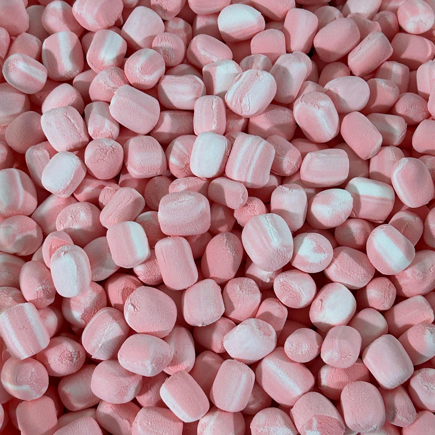 Santa's Secret Stash